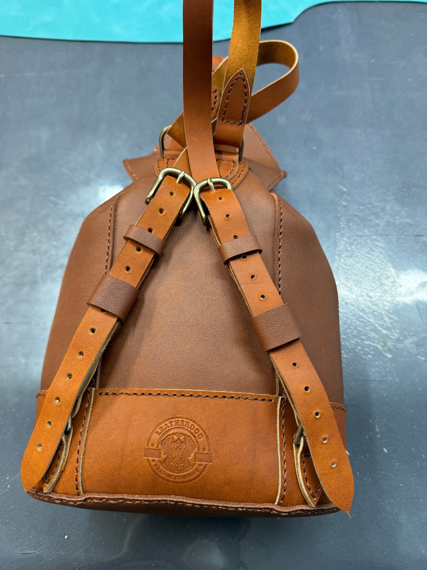 The Emily Backpack #31