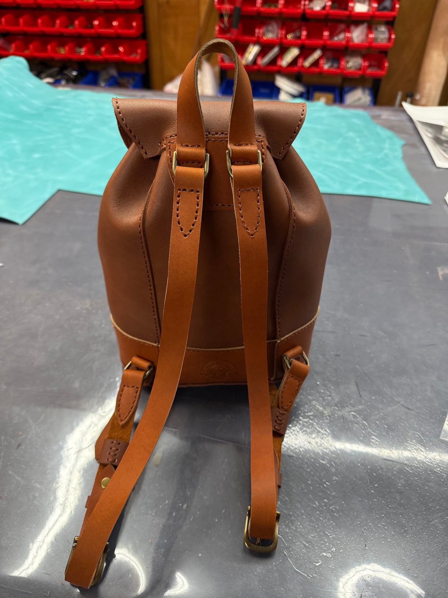 The Emily Backpack #31