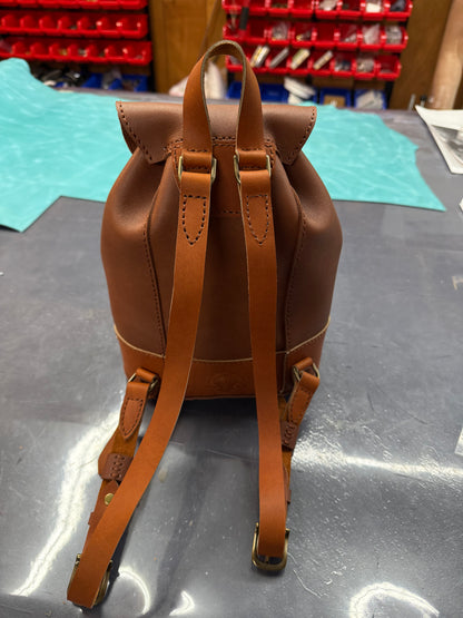 The Emily Backpack #31