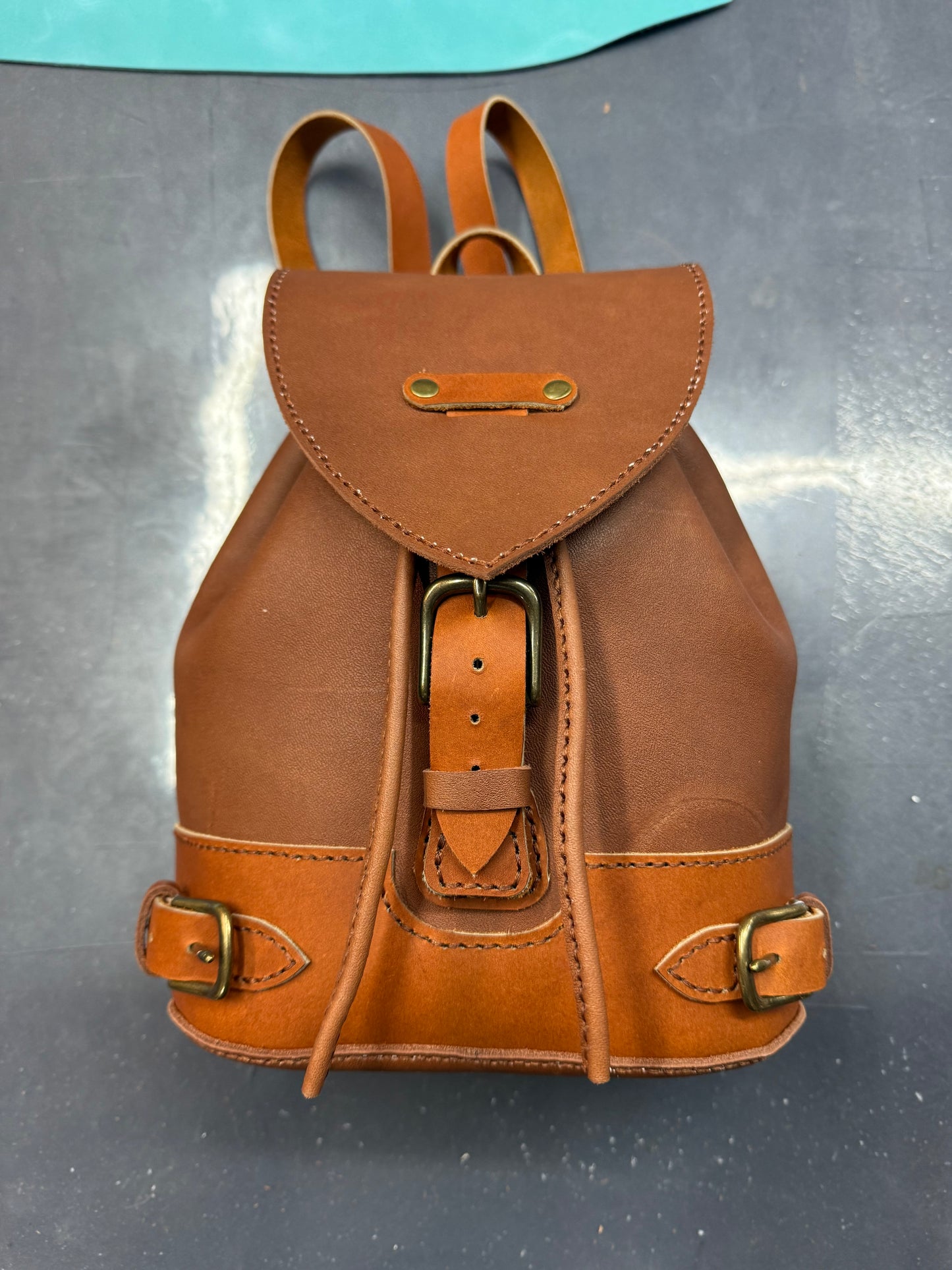 The Emily Backpack #31