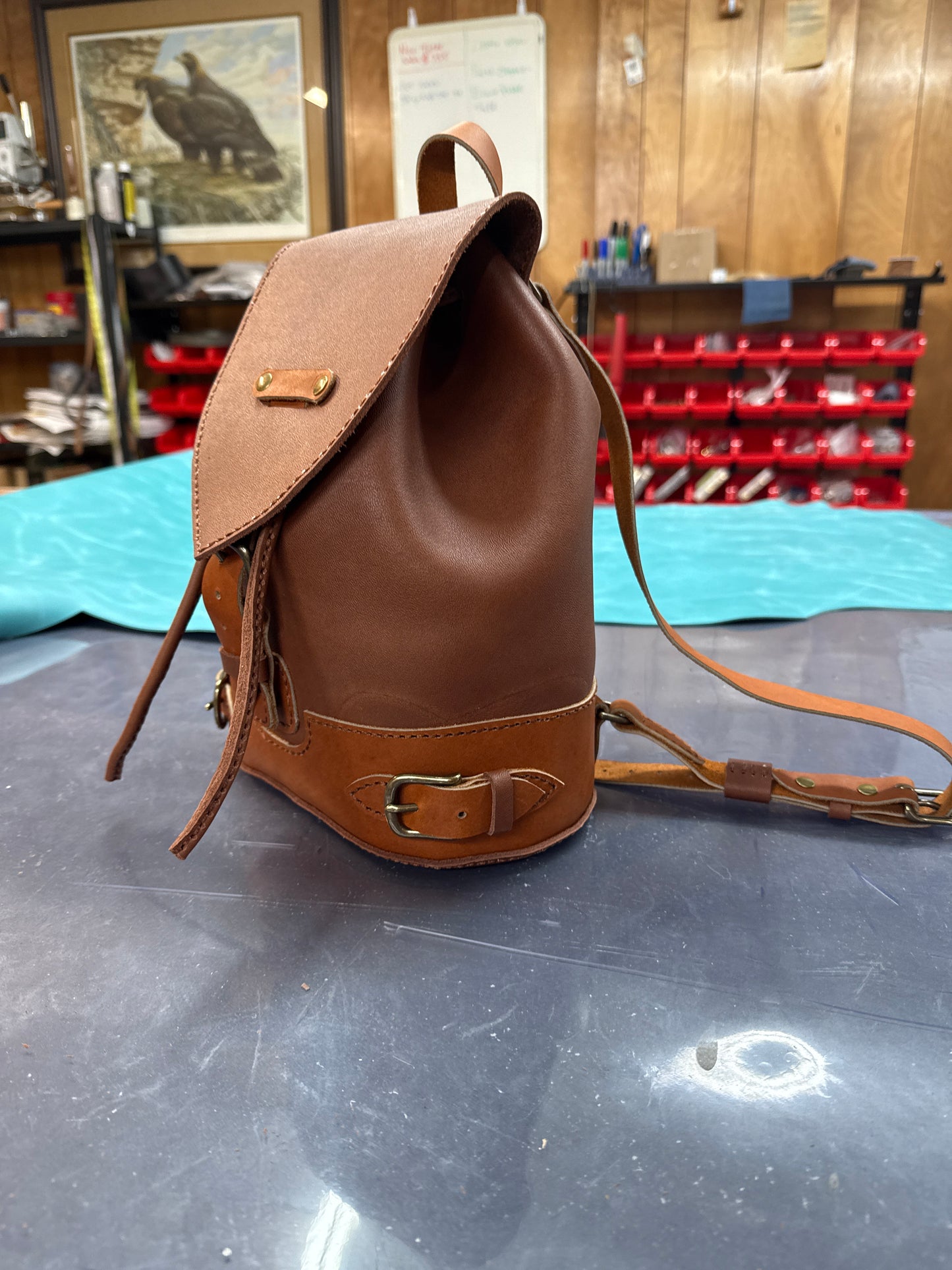 The Emily Backpack #31